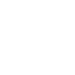 Center for Nursing at the Foundation of New York State Nurses, Inc.